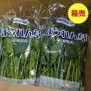 クール便 送料無料箱売 ほうれん草 1箱 20袋 入り福岡産 福岡県 箱買い 箱売り まとめ買い 業務用 お徳用 大容量 大量 料理 野菜 レシピ おひたし 白和え ゆで方 保存 方法 期間 収穫 旬 時期 おすすめ 人気 話題