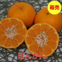 箱売 【九州産】ぽんかん 1箱(10kg)
