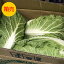 送料無料【九州産】【信州産】箱売り 白菜 1箱(15kg)おすすめ 人気 話題 口コミ クチコミ ランキング 取り寄せ お取り寄せ グルメ 商品 通販 味 美味しい 3,932円