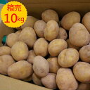 【送料無料】箱売 じゃがいも(男爵)1箱 10kg