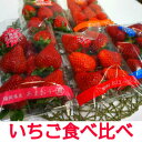 【送料無料】いちご イチゴ 食べ比べセット 4種4パック入り...