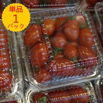 【九州産】単品 アイコ ミニトマト 