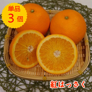 【九州産】単品　紅八朔 紅はっさく　3個