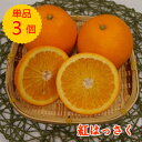 【九州産】単品　紅八朔 紅はっさく　3個