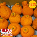 送料無料 訳あり品【九州産】熊本産 箱売 しらぬい 不知火 デコポン ...(4)
