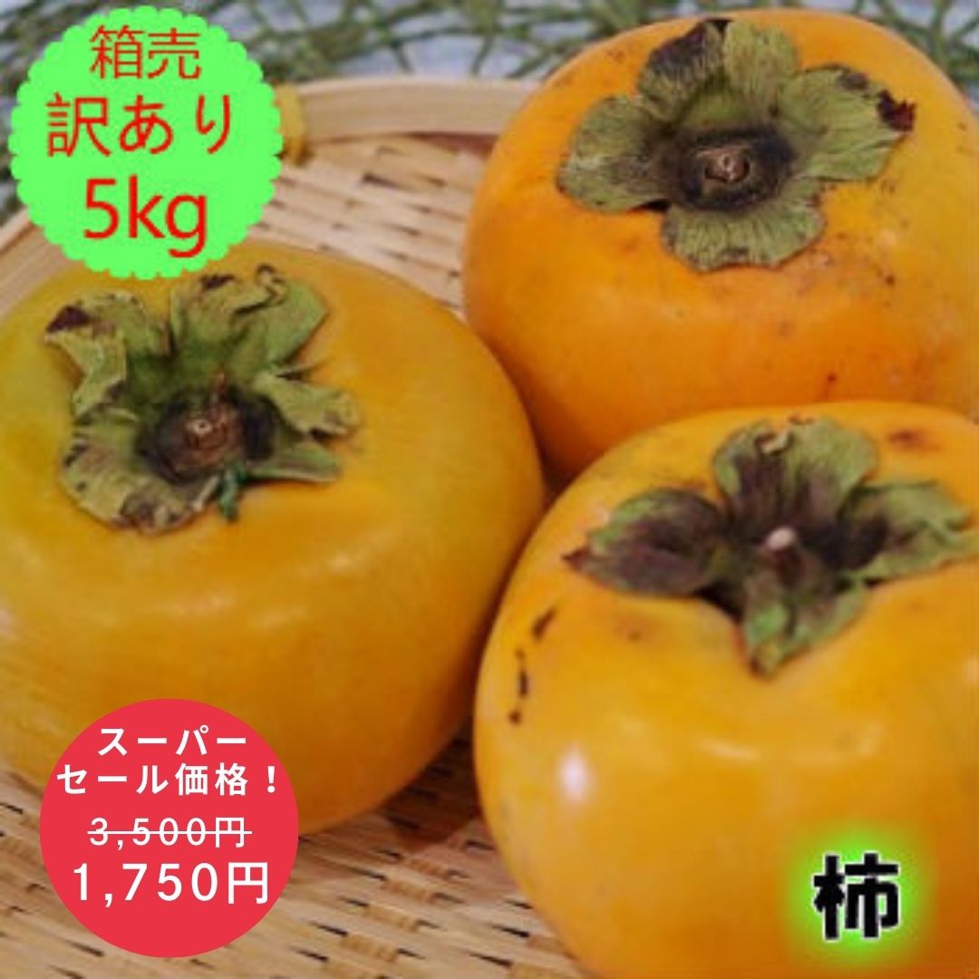 【スーパーセール期間中は半額！】訳あり 九州産 富有柿 柿 1箱 5kg訳あり柿 福岡 佐賀 産 柿 品種 産直 直売 産地直送 通販 お取り寄せ グルメ 箱買い 箱売り まとめ買い 業務用 お得 お買い得 人気 口コミ フルーツ 果物 旬 収穫 摘果 時期 美味しい 甘い 糖度のサムネイル