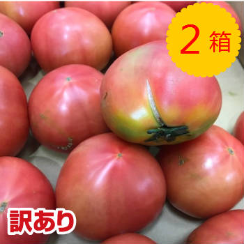 全国お取り寄せグルメ大分野菜・きのこNo.13