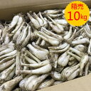 クール便送料無料！【九州産】箱売 らっきょう 土付き 10kgらっきょ ラッキョウ 皮 時期 保存 方法 収穫 栽培 レシピ 国産 日本 産地 甘酢漬け 酢 大粒 漬け方 おすすめ 人気 口コミ クチコミ ランキング 取り寄せ グルメ 商品 通販 美味しい