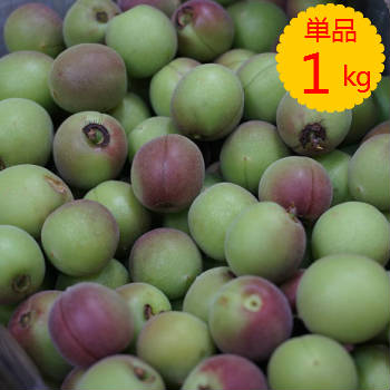 【九州産】単品　大梅（梅 うめ ウメ）　1kg