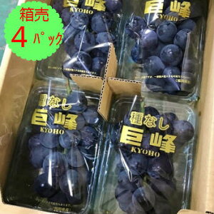 クール便送料無料!【九州産】【信州産】箱売 種なし巨峰 パック売(ぶどう ブドウ 種無し)1箱4パック