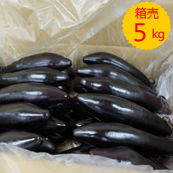 楽天スーパーSALE 送料無料【九州産】箱売 なす 1箱 約5kg 20～35本程茄子 ナス おすすめ 人気 ランキング 取り寄せ グルメ 商品 通販 美味しい 料理 レシピ 新鮮 野菜噌汁 漬物 炒め物 油 お…