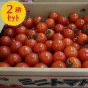 【送料無料】箱売　ミニトマト　1箱3kgを2箱セット！