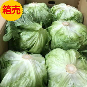 全国お取り寄せグルメ長崎野菜・きのこNo.10