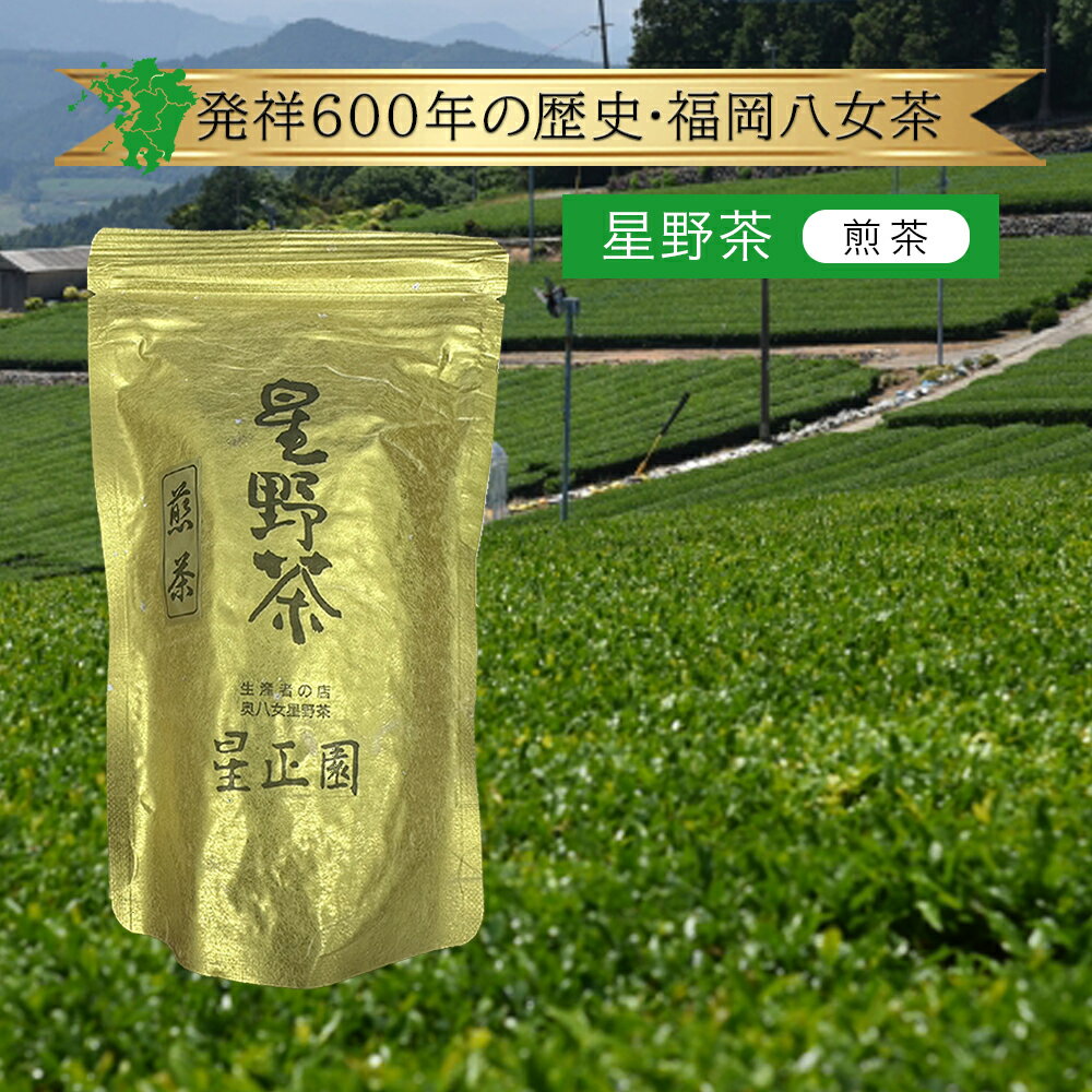 八女茶 【福岡県産】八女茶 星正園 八女市星野村 星野茶 煎茶 200g 1個《1個までメール便対応可》単品 1パック 星野製茶園 奥八女 100% お茶 日本茶 高級茶 茶葉 葉っぱ 茶畑 農園 農家 生産 産地 九州 日本茶 国産 日本産