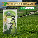 【福岡県産】八女茶 煎茶 ティーバッグ 2g×20袋《1個までメール便対応可》八女茶 100% お茶 日本茶 高級茶 茶葉 葉っぱ 茶畑 農園 農家 生産 産地 九州 日本茶 国産 日本産 三角ティーバッグ