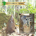 【九州産】単品 たけのこ 水煮 1袋 300g国産 日本産 福岡産 筍 竹の子 水煮 レシピ 調理 方法 料理 人気 話題 口コミ おすすめ 産地 直送 直売 価格 値段 販売 採れたて 保存 真空パック お取り寄せ グルメ ブランド 品種