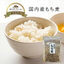 送料無料【国産】もち麦 280g 1袋《3個までメール便対応可》日本産 国産 雑穀米 雑穀ご飯 麦ごはん お試し サイズ お試し用 トライアル 品種 特徴 農家...