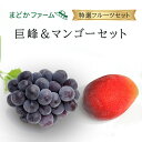 クール便 送料無料【まどかファーム特選セット】九州産 巨峰 種なし 1個 マンゴー 1玉 セット種無し サイズ 日本産 国産 ぶどう ピオーネ 九州産 福岡産 ...