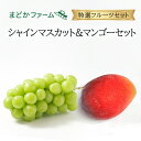 クール便 送料無料【まどかファーム特選セット】国産 マンゴー 1個 シャインマスカット 1房 セットサイズ 日本産 国産 太陽のタマゴ 九州産 農家 農園 産地...