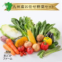 クール便 送料無料 九州産 旬の野菜 お任せ 詰め合わせ セット 1箱 20品野菜 送料 お試し 一 ...