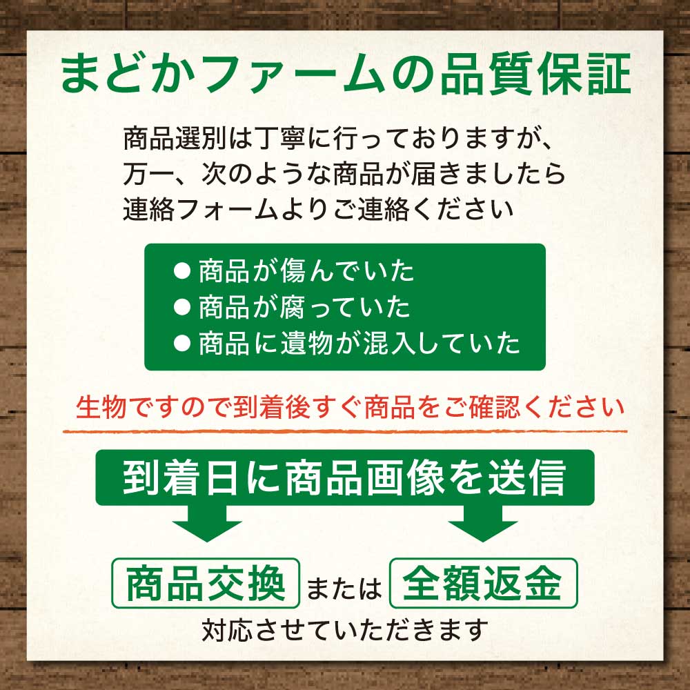 かぼちゃ 南瓜 1玉 / 1箱 約10kg 4～7玉 送料無料外国産 ニュージーランド産 メキシコ産 輸入品 輸入 カボチャ 野菜 単品 家庭用 業務用 お得 まとめ買い 箱買い 箱売り おすすめ 農家 農園 産直 直売 産地 取り寄せ レシピ 料理 2