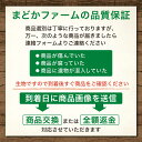 【九州産・信州産ほか】白菜1箱 15kg 6～10玉 程度 1玉 単品 野菜 農家 農園 産直 直売 直送 通販 販売 団地 国産 日本産 箱売り 箱買い まとめ買い 業務用 取り寄せ セット 個入 玉 入 3