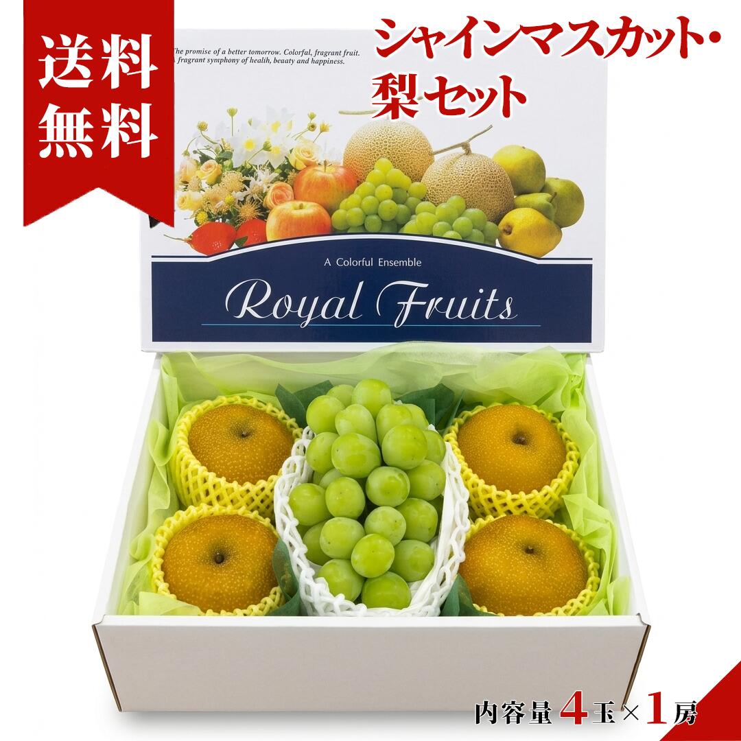 シャインマスカット 1房 梨 4玉入り【まどかファーム特選セット】 送料無料個 入り...