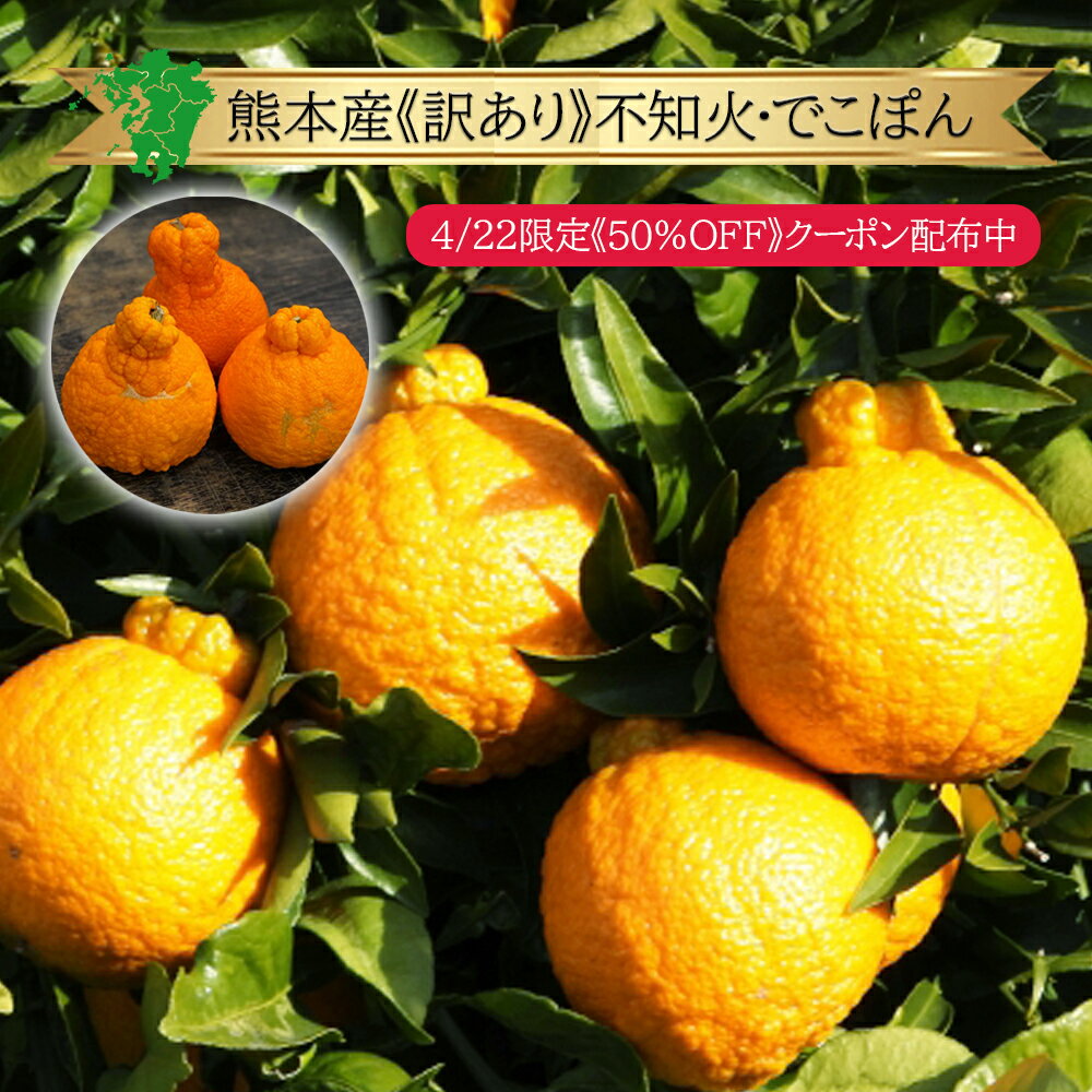【半額クーポン配布中】訳あり 九州産 しらぬい 不知火 でこぽん3個 入り セット 3kg 7～10個 5kg 15～24個 送料無料 玉 単品 ぽんかん でこみかん 箱売り 箱買い まとめ買い お得 熊本 県 産 九州 産地 直売 直送 通販 販売のサムネイル