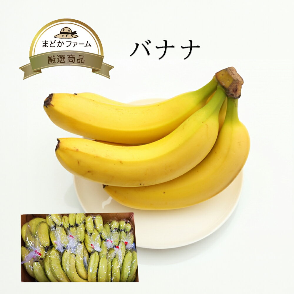 バナナ 1袋 4〜5本 / 1箱 18〜29袋 外国産 フィリピン産 単品 セット 箱買い 箱売り 業務用 大量 大容量 まとめ買い お買い得 お徳用 おすすめ...