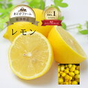 レモン 単品 単品 3個入り / 箱売 1箱