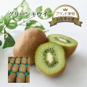 クール便 送料無料【ニュージーランド産】グリーン キウイ 1個 / 1箱 約3kg 24〜33個入り 送料無料キウイフルーツ 外国産 海外 輸入 農家 農園 生...
