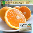【清見オレンジ】送料無料 ブランド みかん 1箱 11玉きよみ タンゴール 個 入り柑橘 ブランド 品種 みかん 取り寄せ お取り寄せ グルメ 通販 産地 直送...