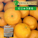 送料無料 佐賀県 新ブランド みかん にじゅうまる 1箱 5kg 21～22玉二重丸 九州産 佐賀  ...