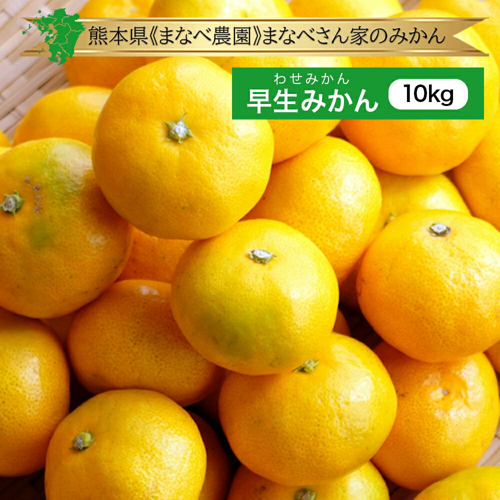 送料無料【九州産 熊本県産】箱売り まなべさん家のみかん 早生みかん 10kgミカン 緑 10キロ 早生 温州 旬 時期 熊本 産 箱買い まとめ買い ケース 産地 直送 産直 農家 農園 通販 お取り寄せ 口コミ 人気 おすすめ 糖度 収穫 品種 ブランド