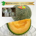 【九州産】クインシーメロン 1玉 / 約5kg 4～6玉入り 送料無料単品 1個 箱買い 箱売り セット 熊本 県産 農家 農園 産地 直送 直売 通販 赤肉メロン ブランド お取り寄せ ギフト 贈り物 グルメ 高級 赤肉 ネットメロン 人気 話題