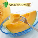 クール便【九州産】レノンメロン 単品 1玉 / 1箱 約5kg 3〜6玉 送料無料赤肉 ネット 系 メロン 日本産 国産 県産 1個 箱買い まとめ買い お徳用...