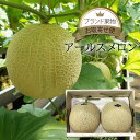 クール便 送料無料 箱売り アールスメロン(マスクメロン) 1箱 2玉入り国産 日本産 熊本県 静岡県 高知県 産 2個 箱買い まとめ買い お徳用 お買い得 ...