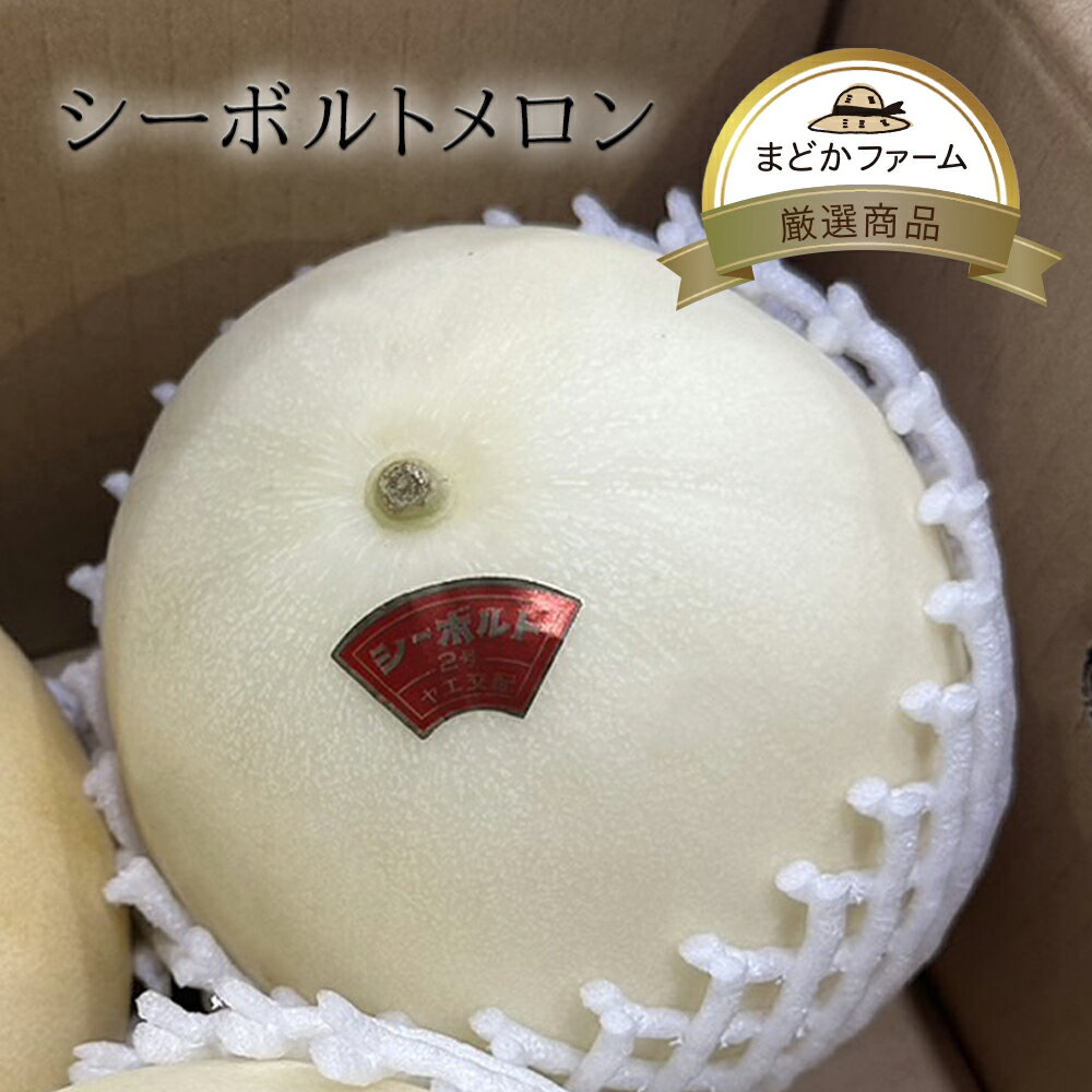 送料無料 箱売り シーボルトメロン 1箱 5kg 4～8玉入り国産 日本産 長崎県 産 産地 農園 農家 産直 直売 直送 箱買い まとめ買い お徳用 お買い得 おすすめ 人気 話題 口コミ クチコミ ランキング 取り寄せ グルメ 商品 通販