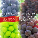 送料無料【お取り寄せグルメセット】ぶどう 食べ比べセット 品種お任せ 4種 各1パック クール便 ブランド 高級 フルーツ 果物 詰め合わせ 盛り合わせ 日本産 国産 九州 福岡 山梨 ギフト プレゼント 贈答 品 お供え おすすめ 新生活 仕送り