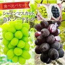 クール便 送料無料【お取り寄せグルメセット】種なし ぶどう 食べ比べセット《シャインマスカット BKシードレス》各1房マスカット ブランド 高級 フルーツ 果物 日本産 国産 九州 福岡 山梨 ギフト プレゼント 贈答 品 お供え お盆 お中元 おすすめ