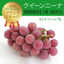 【クール便】単品 ぶどう クイーンニーナ 種なし 1房1個 房売り 入り 個人 一人 自宅用 少量 食べきり 袋 紙 フルーツ 果物 日本産 国産 大粒 味 美味しい 甘い 糖度 お取り寄せ グルメ ギフト プレゼント 贈答用 贈答品 お中元 お供え お盆 ブランド おすすめ 旬 品種