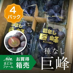 【クール便送料無料】箱売 ぶどう 巨峰 種なし 1箱 4パック入り1箱 箱売り 箱買い まとめ買い セット 袋 紙 フルーツ 果物 日本産 国産 味 美味しい 甘い 糖度 お取り寄せ グルメ ギフト プレゼント 贈答用 贈答品 お中元 お供え お盆 ブランド おすすめ 旬 時期 値段