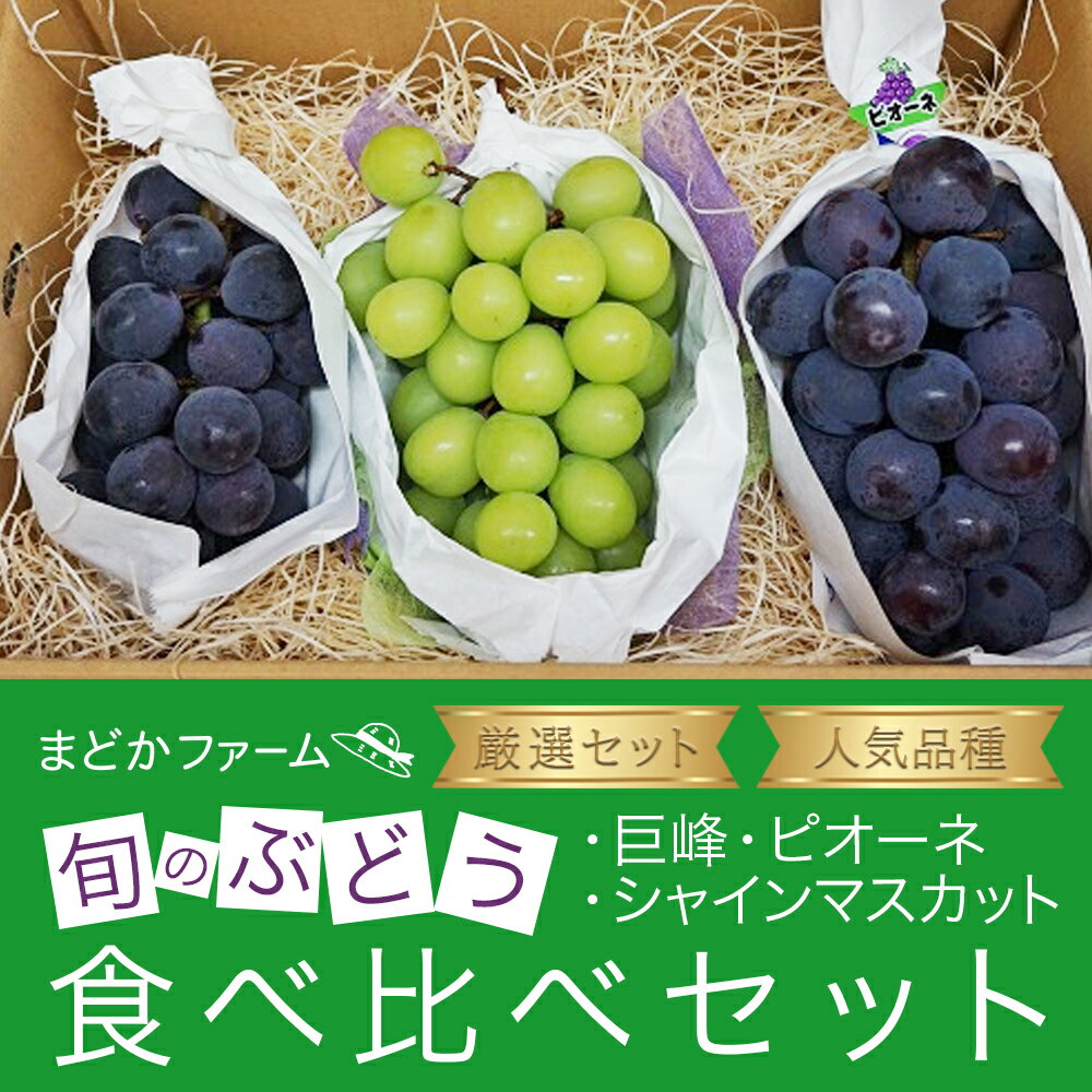 【クール便送料無料】人気品種 厳選 箱売 ぶどう 食べ比べセット 種無し ピオーネ 巨峰 シャインマスカット 各1房 1箱3房入り種なしぶどう ぶどうセット 個 入り お試し 少量 袋 紙 フルーツ 果物 日本産 国産 味 美味しい 甘い 糖度 お取り寄せ グルメ ギフト 人気