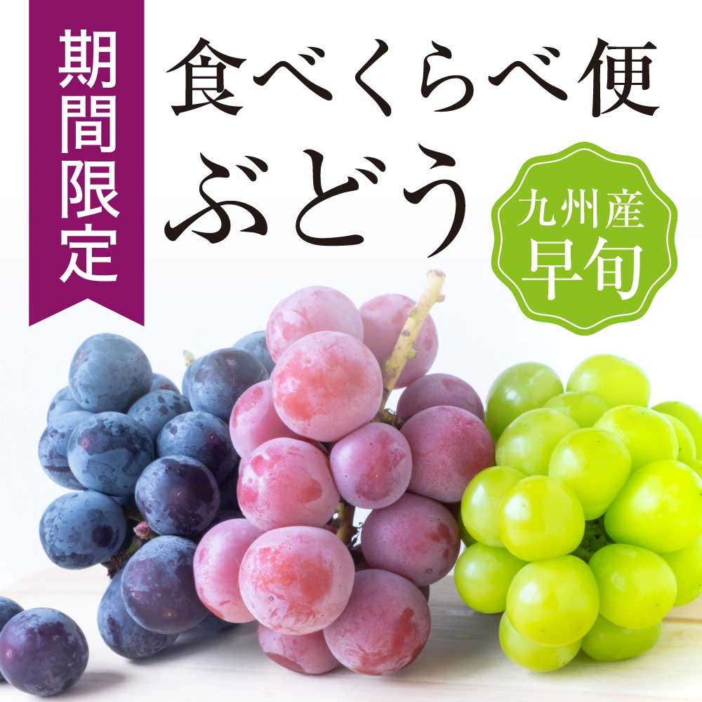 【クール便送料無料】人気品種 厳選 箱売 ぶどう 食べ比べセット 種無し 巨峰 シャインマスカット 各1房 1箱2房入り種なしぶどう ぶどうセット 個 入り お試し 少量 袋 紙 フルーツ 果物 日本産 国産 味 美味しい 甘い 糖度 お取り寄せ グルメ ギフト 人気