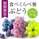 【クール便送料無料】人気品種 厳選 箱売 ぶどう 食べ比べセット 巨峰 シャインマスカット クイーンニーナ 各1房 1箱3房入り種なしぶどう ぶどうセット 個 入り お試し 少量 袋 紙 フルーツ 果物 日本産 国産 味 美味しい 甘い 糖度 お取り寄せ グルメ ギフト 人気