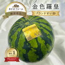 クール便 送料無料【熊本産 大分産 長崎産 長野産】ブランドスイカ 金色羅皇 1玉 中玉 M〜2L / 1玉 大玉 3L〜5L羅王 らおう ラオウ 黄金 すいか...
