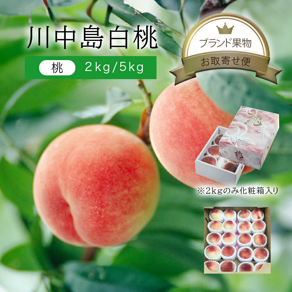 クール便 桃 白桃 川中島白桃 中玉 約2kg 10〜11玉入り/大玉 約2kg 6〜7玉入り/中玉 約5kg 20〜22玉入り/大玉 約5kg 15〜18玉入り 送料無料もも 国産 日本 農家 農園 産直 直売 直送 お中元 お盆 お祝い ギフト 贈り物 お取り寄せ グルメ プレゼント 贈答 品 お供え 秀のサムネイル