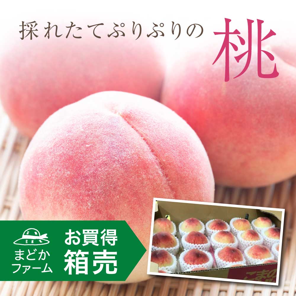 クール便送料無料 箱売り 桃(もも) 中玉 (山梨産・長野産) 1箱 5kg 17～24玉入り5キロ 山梨県 長野県 国産 日本 直売 直送 産地 お中元 お盆 お祝い ギフト お取り寄せ グルメ プレゼント 贈答 品 旬 収穫 時期 保存 生産 美味しい ブランド 高級 食べたい 甘い 糖度