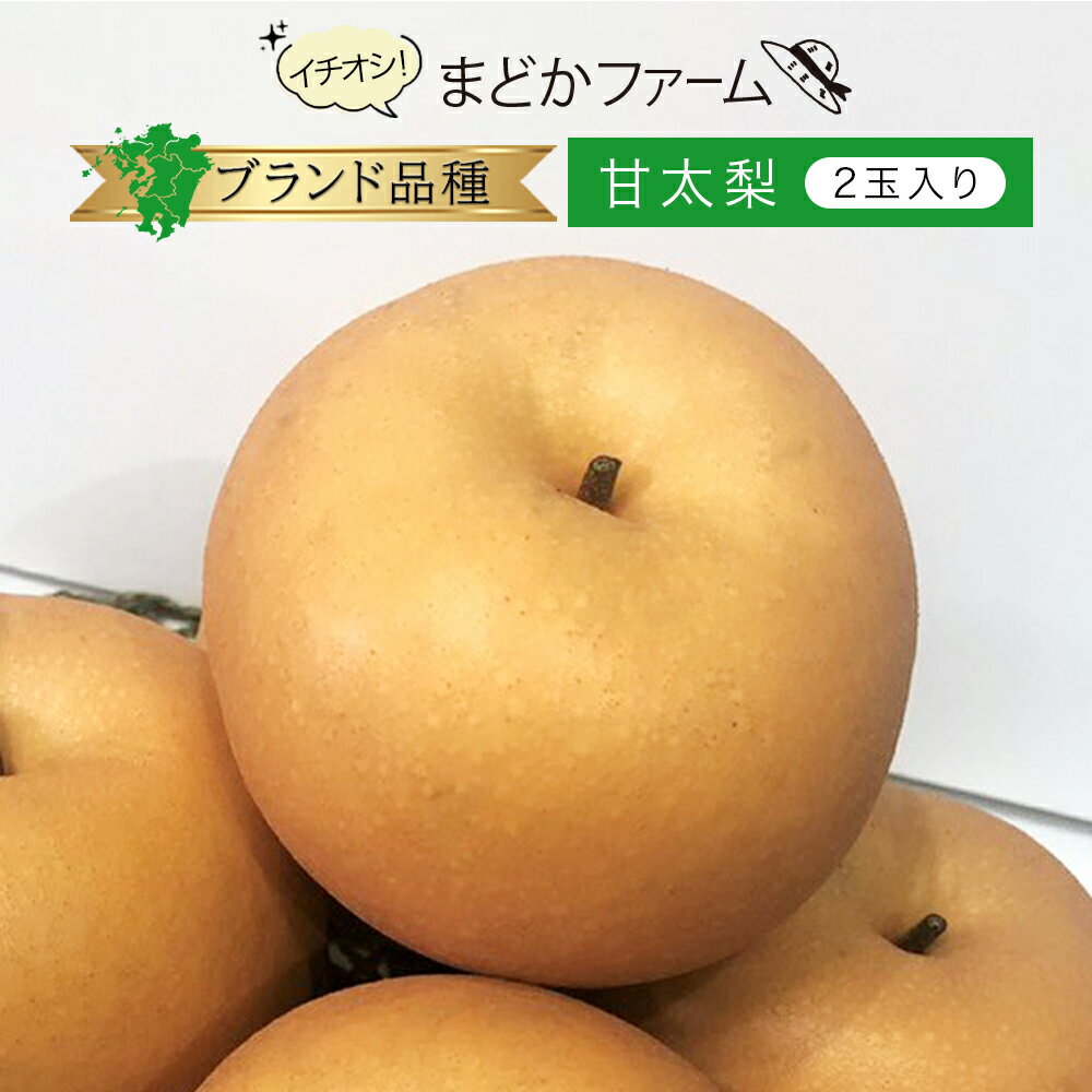 【九州産】単品 梨 甘太 2個かんた 2個入り 2玉 お試し 少量 自宅用 一人分 一人用 食べきり 直売 産直 農家 農園 産地 直送 販売 通販 直売所 サイズ 熊本県 大分県 佐賀県 値段 価格 旬 季節 時期 収穫 保存 方法 人気 おすすめ ギフト 贈答 お供え プレゼント