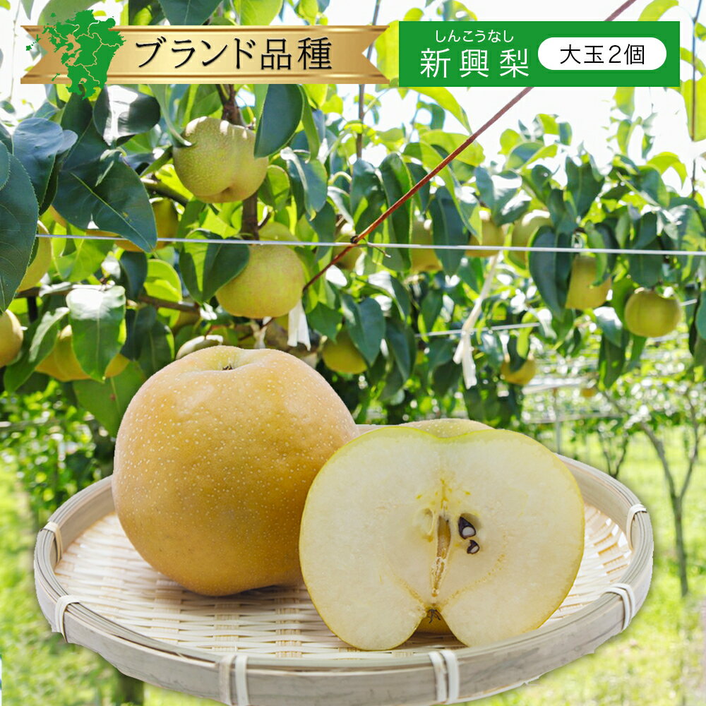 【九州産】単品 梨 新興梨 中玉 3玉3個入り 3個 セット 少量 お試し サイズ お取り寄せ グルメ ギフト 贈答用 プレゼント 贈答品 お祝い お中元 お盆 お供え 贈り物 おすすめ 名産 産地 農園 農家 直送 産直 品種 種類 有名 ブランド 時期 保存 収穫 旬 特徴 国産